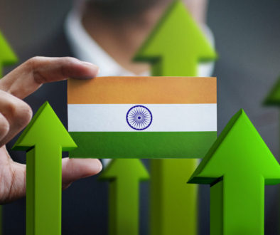 The Indian economy